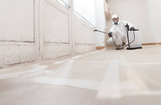 24/7 Emergency Commercial Mold Remediation experts in Todd, PA