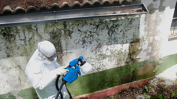 Trusted Commercial Mold Remediation service in Todd, PA - Cheap Mold Removal